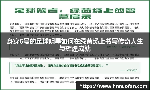 身穿6号的足球明星如何在绿茵场上书写传奇人生与辉煌成就
